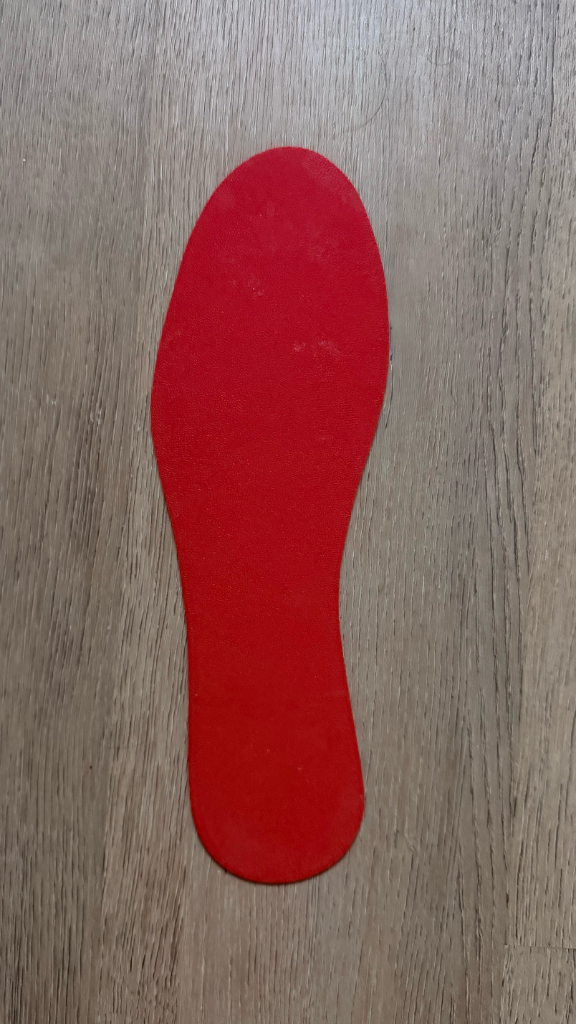 TerraSense Insole Prototype